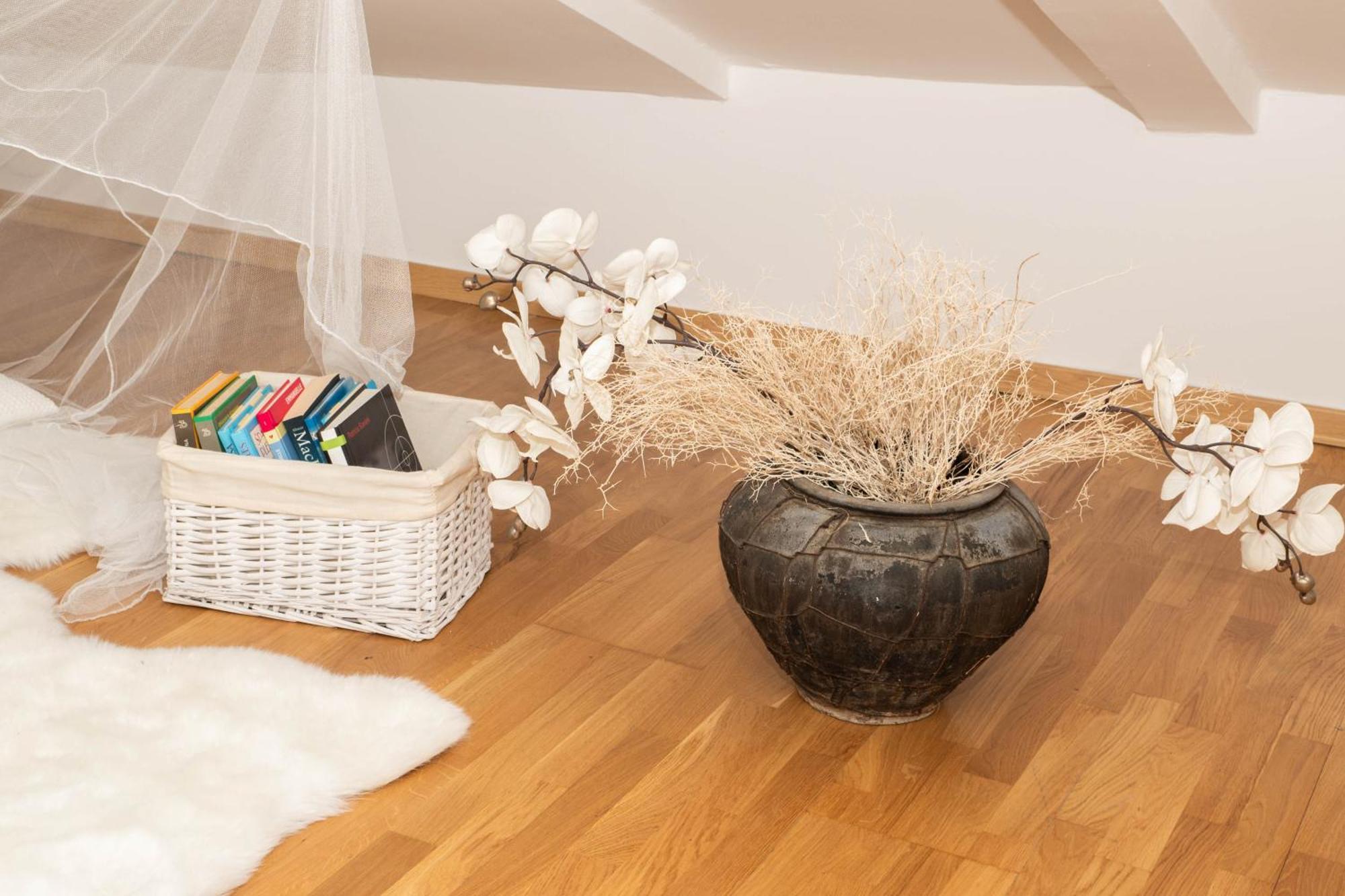Bed and Breakfast Bed&Brekfast Donatella Pirano Esterno foto